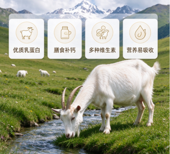 2026 羊奶粉深度横评｜不止看钙和蛋白！全家庭羊乳实测，初乳免疫款 vs 有机纯羊乳怎么选
